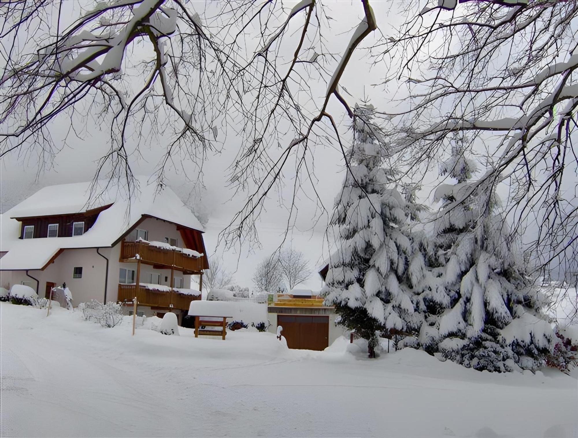 Apartamento Ferien Auf Dem Steingrubenhof Sankt Peter Exterior foto